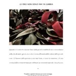 contest Ilaria _page-0001 (1) (1)