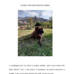 contest-danilo-_1