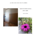 contest fede sib 2_page-0001